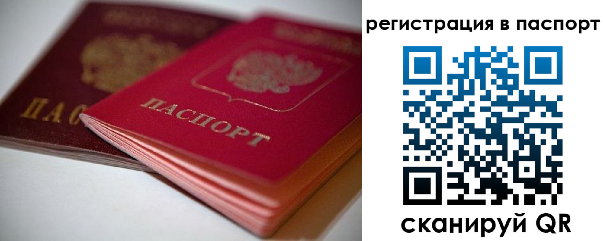 временная регистрация надежно в Ростове-на-Дону